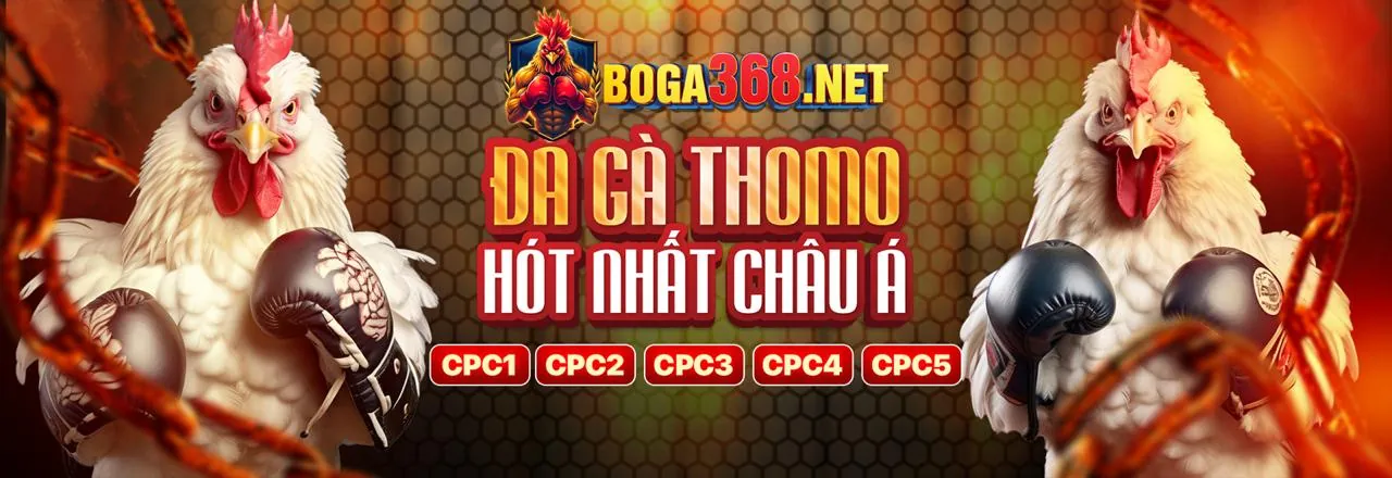 Đá gà trực tuyến kịch tính tại mana88 nổ hũ